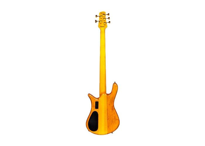 Spector EURO5LTTEG Euro 5 LT - Basse électrique 5 cordes avec micros Bartolini passifs - Tiger Eye Gloss