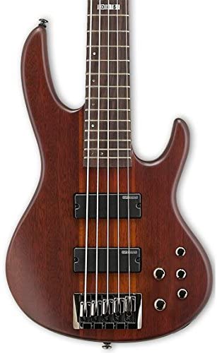 ESP LTD D-5 - 5-String Electric Bass with ESP Designed Pickups and Grover Tuners - Natural Satin