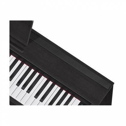 Casio PX870BK Privia Piano numérique 88 touches avec support d'armoire et pédales (noir)