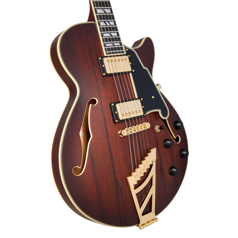 D'Angelico DELUXE SS Semi Hollow-Body Electric Guitar (Satin Brown Burst)