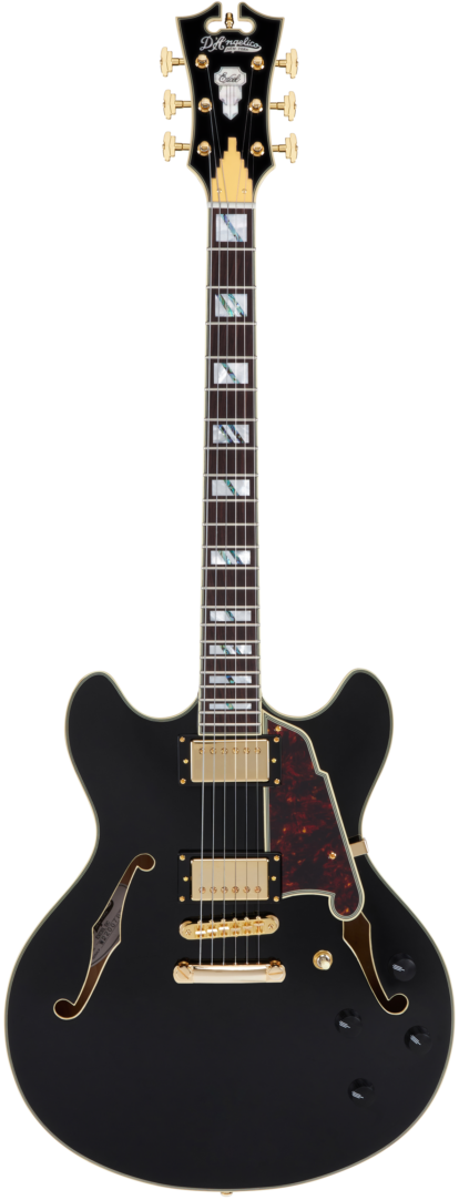 D'Angelico DAEDCSBKGS Excel DC Guitare électrique semi-creuse (noir massif)