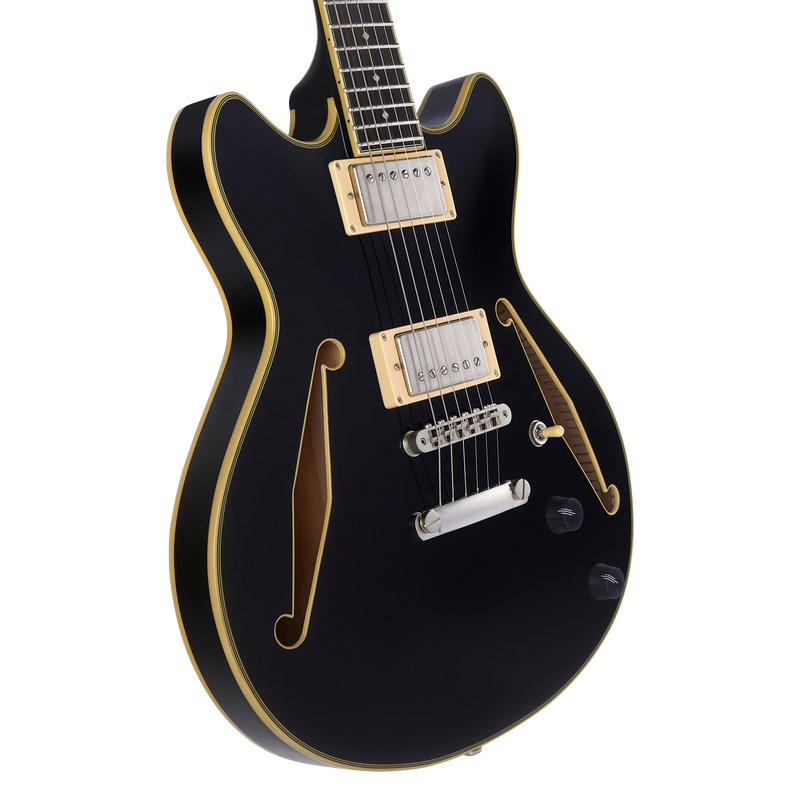 D'Angelico DAEMDCTSBKSNS Guitare électrique semi-creuse (noir)