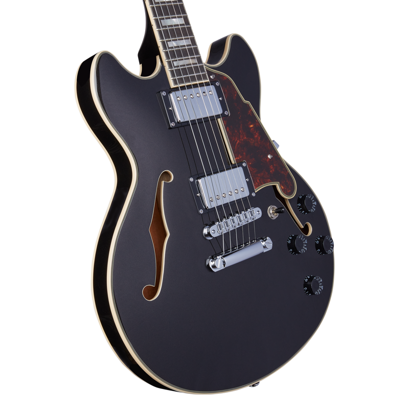 D'Angelico DAPMINIDCBLFCS Mini guitare électrique semi-creuse (Flake noir)