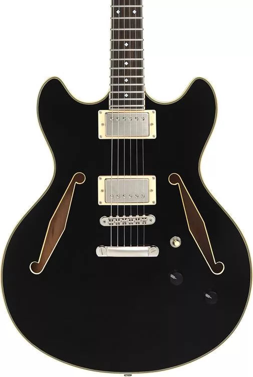 D'Angelico DAEDCTSBKSNS Guitare électrique semi-creuse (noir)