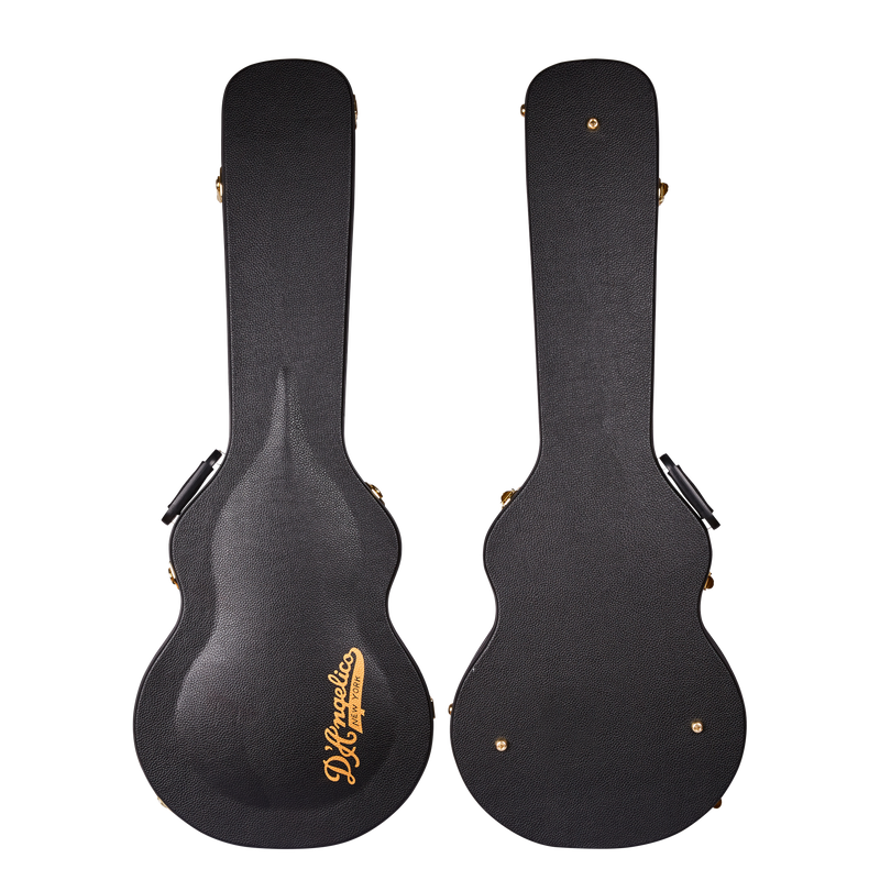 D'Angelico DAESSBDGTR Guitare électrique semi-creuse avec bouclier trémolo (chien noir)