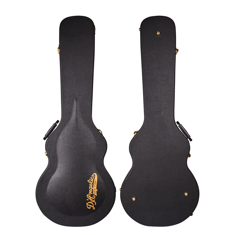 D'Angelico DAE59BDGTR Guitare électrique creuse (chien noir)