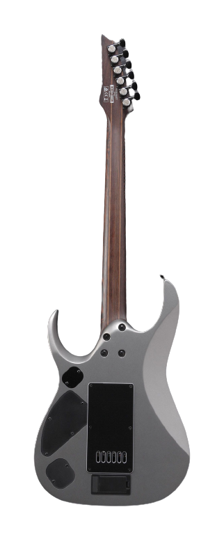 Ibanez RGD AXION LABEL Electric Guitar (Metallic Gray Matte)