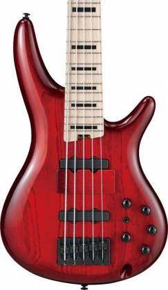 Ibanez ANB205-TWB Adam Nitti Signature - Basse électrique avec micros Bartolini - Transparent Wine Red Burst avec étui