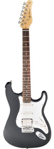 Jay Turser JT-100-BK Classic Double Cutaway Electric Guitar (Black)