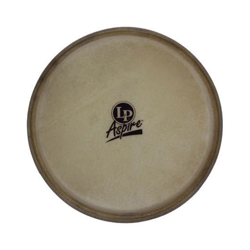 Latin Percussion LPA663A Tête de bongo Aspire - 6 3/4"