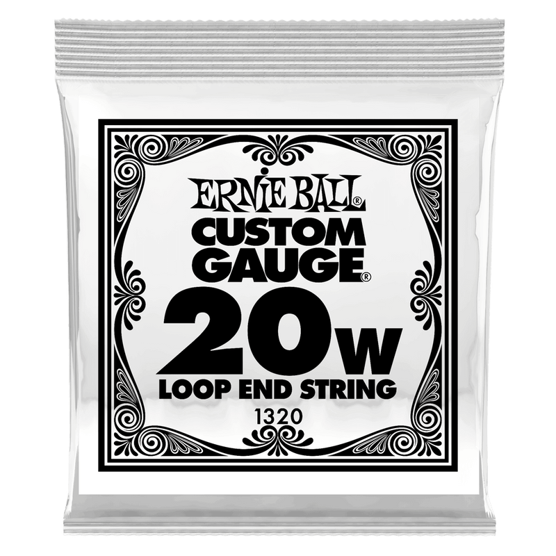 Ernie Ball 1320EB Lot de 6 cordes de guitare pour banjo ou mandoline en acier inoxydable avec extrémité en boucle – 0,020