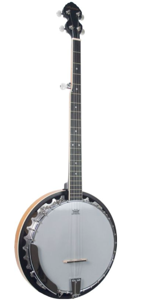 Alabama Alb29 Banjo en acajou à 5 cordes - gloss de Sunburst