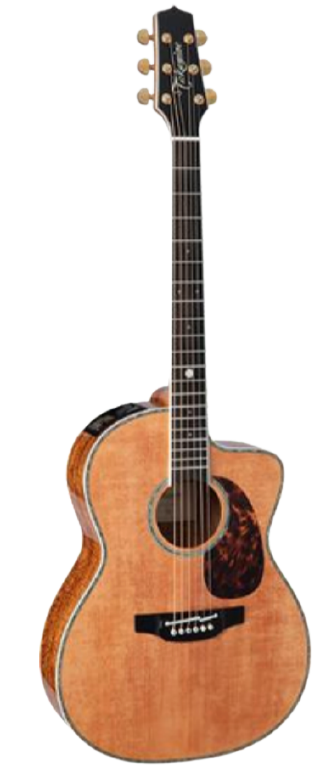 Takamine LTD2022 Guitare acoustique classique en édition limitée avec préampli
