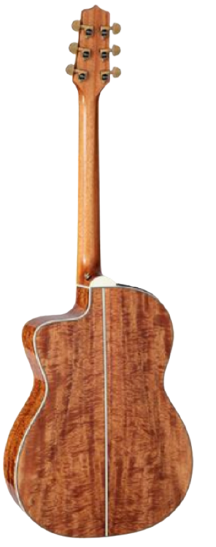 Takamine LTD2022 Guitare acoustique classique en édition limitée avec préampli