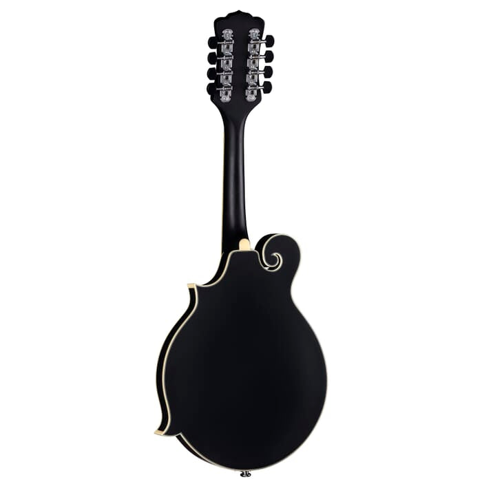 Luna BGM MOON F Moonbird F-Style Acoustic/Electric Mandolin (Satin Black)