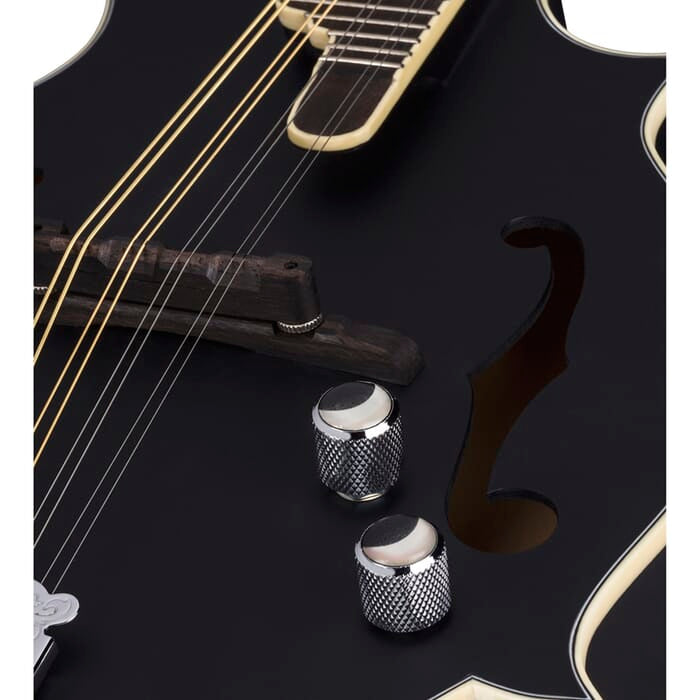 Luna BGM MOON F Moonbird F-Style Acoustic/Electric Mandolin (Satin Black)