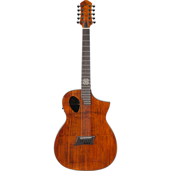 Michael kelly 10 string guitar hotsell
