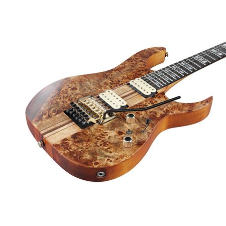 Ibanez RG Series Electric Guitar (Antique Brown Stained)