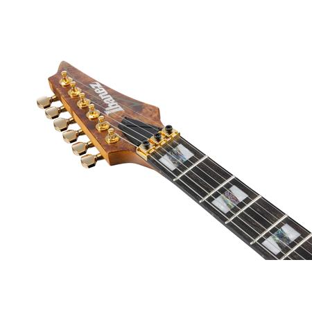 Ibanez RG Premium Series RGT1220PBABS Guitare électrique avec micros DiMarzio - Antique Brown Stained Flat