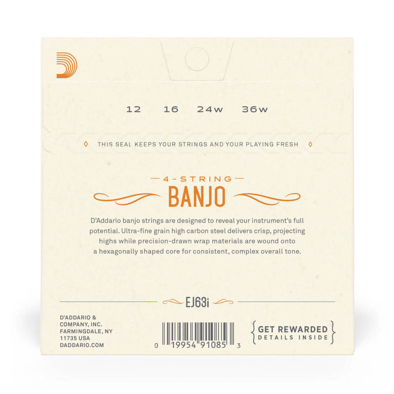D'Addario EJ63I Irish Tenor Banjo String Set, Nickel, 12-36