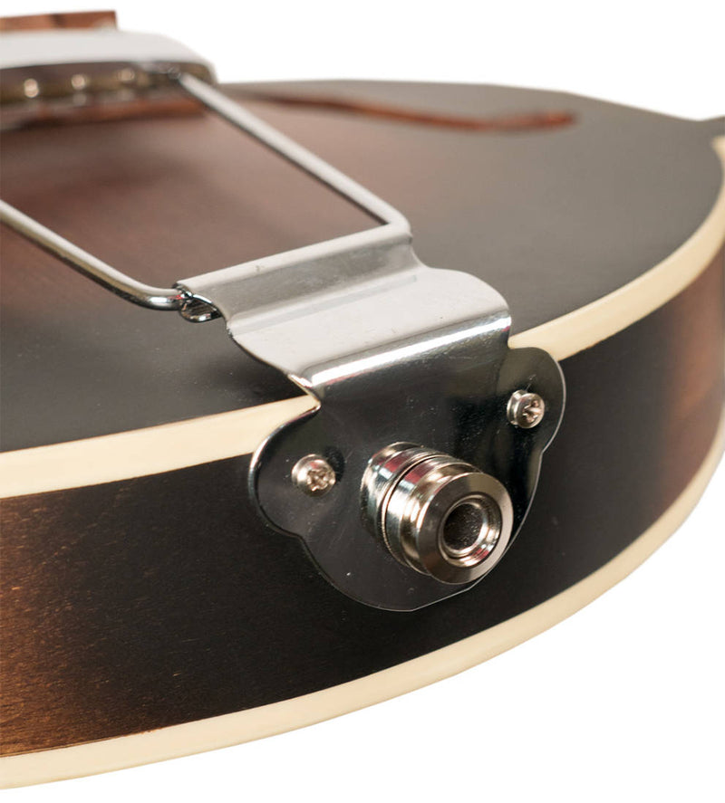 Gold Tone F-6 Mando-Guitar de style F à 6 cordes avec pick-up et étui