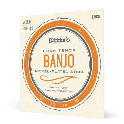 D'Addario EJ63i Irish Tenor Banjo String Set, nickel, 12-36