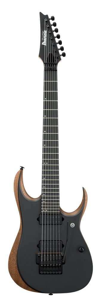 Ibanez rgd prestige top