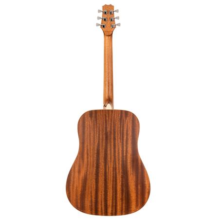Peavey DELTA-WOODS DW-1 Dreadnaught Acoustic Guitar w/ Bag