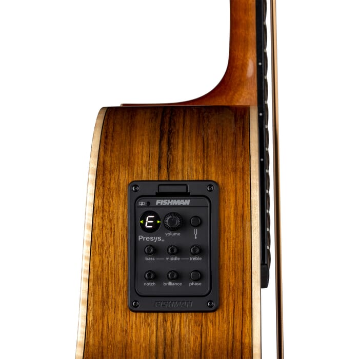 Luna VISTA BEAR Tropical Wood Acoustic/Electric Bass Guitar (Gloss Natural)